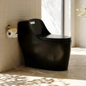 Bồn cầu KIHO Luxury KHL-119 (Đen)
