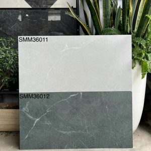 Gạch SMM36011