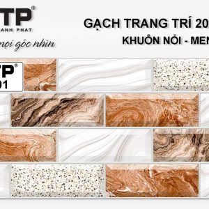 Gạch TTP2401