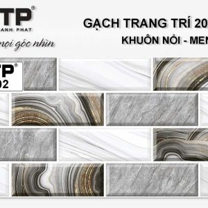 Gạch TTP2402