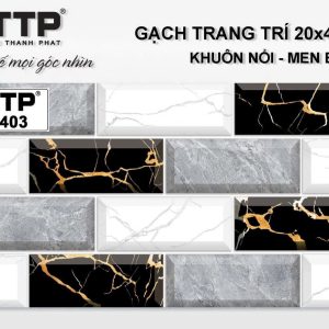 Gạch TTP2403