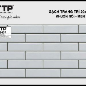 Gạch TTP2407