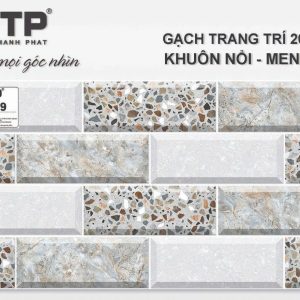 Gạch TTP2409