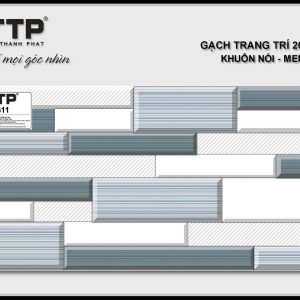 Gạch TTP2411