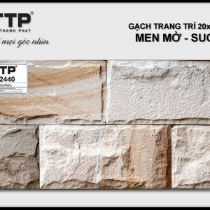 Gạch TTP2440
