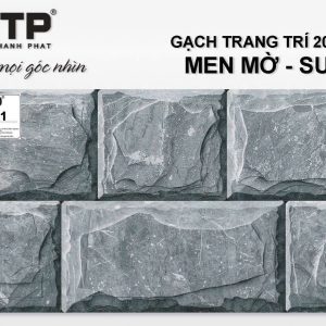 Gạch TTP2441