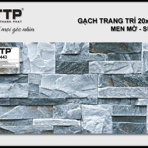 Gạch TTP2443