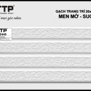Gạch TTP2445