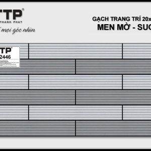 Gạch TTP2446