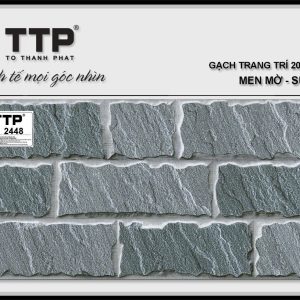 Gạch TTP2448