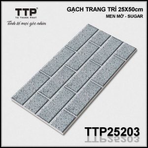 Gạch TTP25203