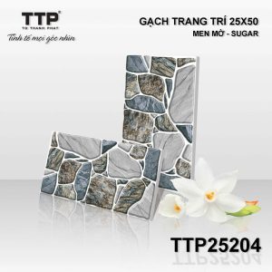 Gạch TTP25204