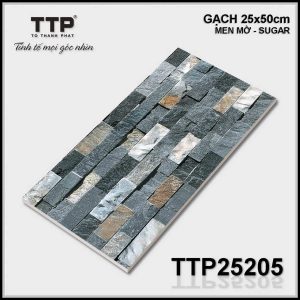 Gạch TTP25205