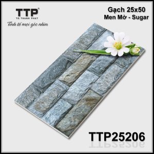 Gạch TTP25206