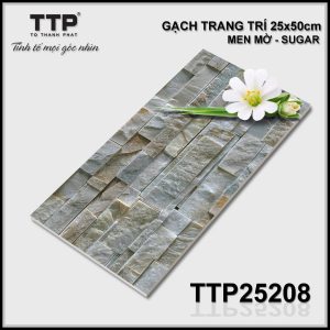 Gạch TTP25208
