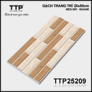 Gạch TTP25209
