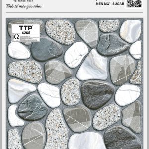 Gạch TTP4265