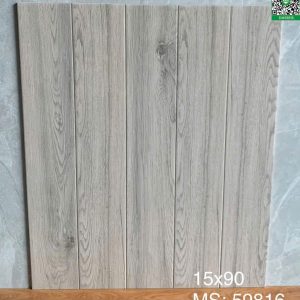 Gạch 59816