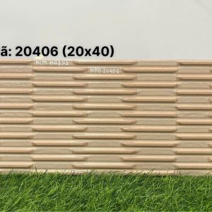 Gạch SKD 20406