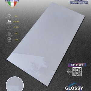 Gạch 61181001