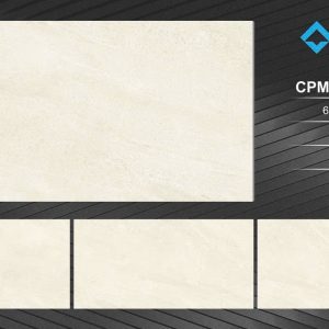 Gạch CPM6012005S3