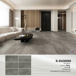 Gạch S-D12020