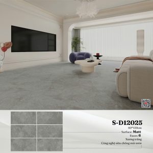 Gạch S-D12025