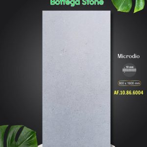 Gạch AF.10.86.6004