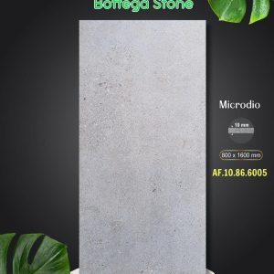 Gạch AF.10.86.6005