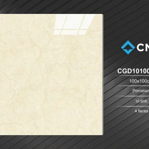 Gạch CGD1010007S3