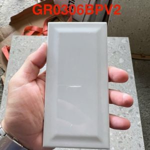 Gạch GR0306BPV2