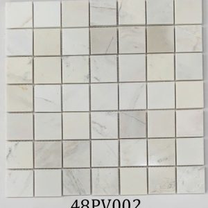 Gạch 48PV002
