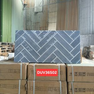 Gạch DUV36S02