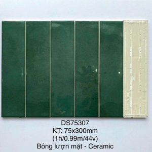 Gạch DS75307