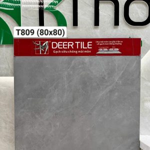 Gạch T809