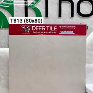Gạch T813