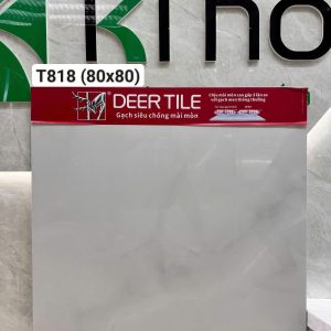 Gạch T818