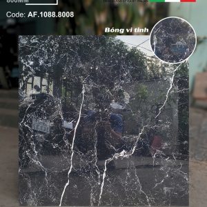 Gạch AF.1088.8008