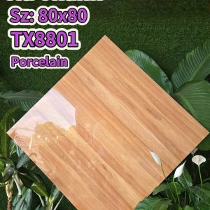 Gạch TX8801