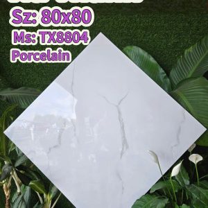 Gạch TX8804