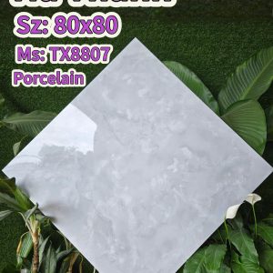 Gạch TX8807