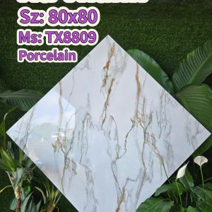 Gạch TX8809