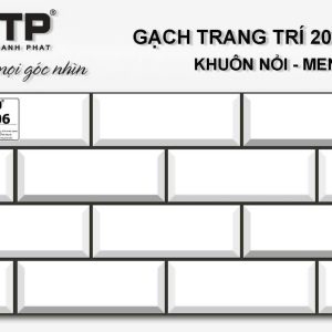 Gạch TTP2406