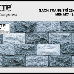 Gạch TTP25213