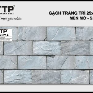 Gạch TTP25214