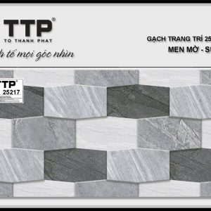 Gạch TTP25217
