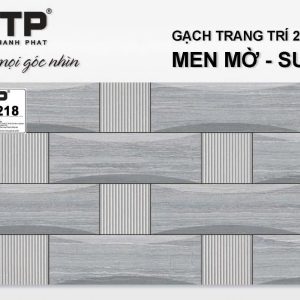 Gạch TTP25218