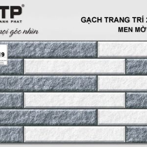 Gạch TTP25219