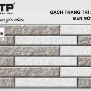 Gạch TTP25220