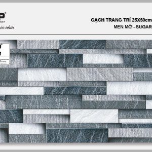 Gạch TTP25221